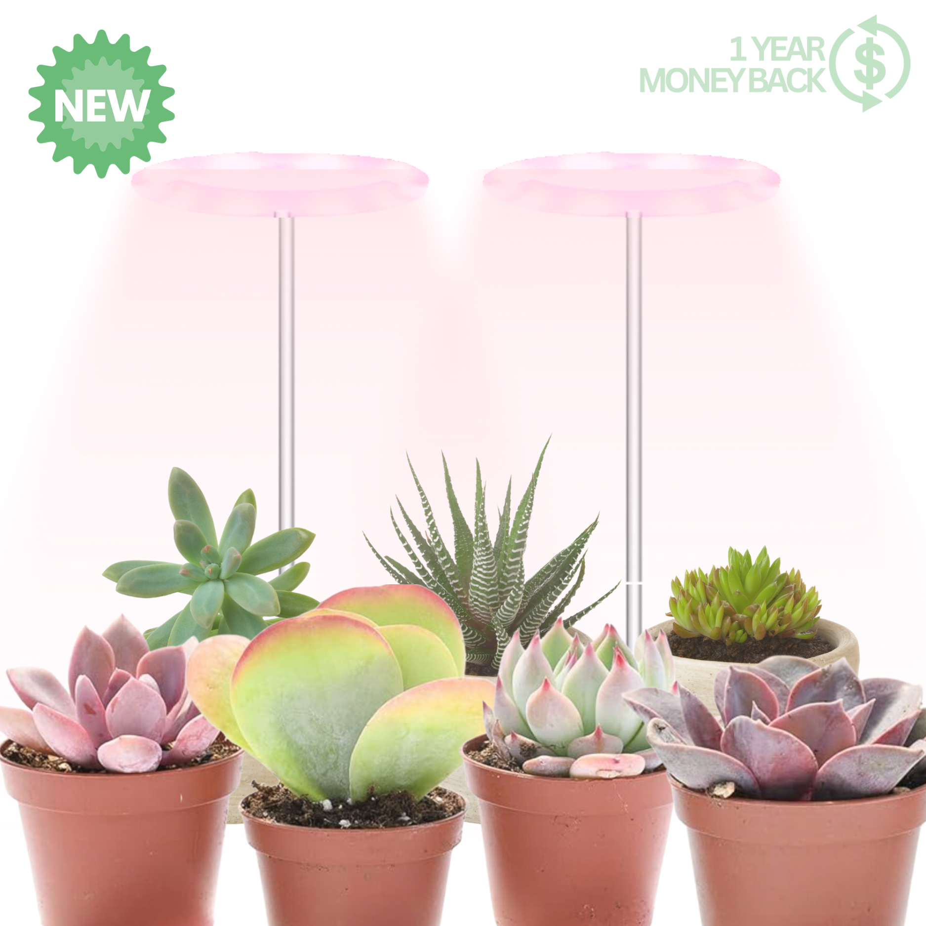 plant halo grow light The Plant Halo PLUS – ThePlantHalo